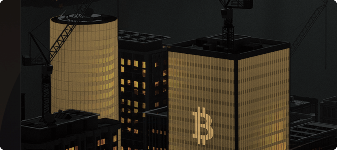 Map showing business bitcoin adoption